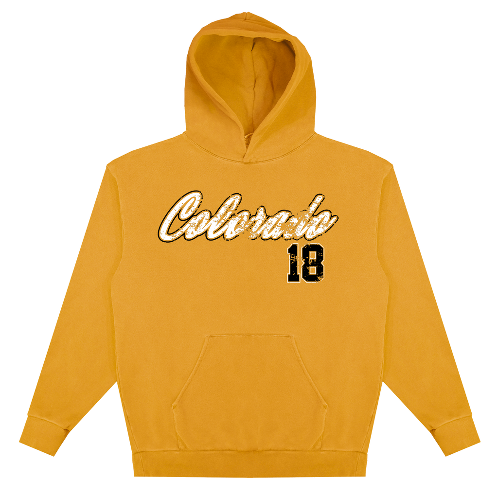 Embrace Hoodie